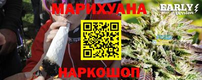 индика Ливны