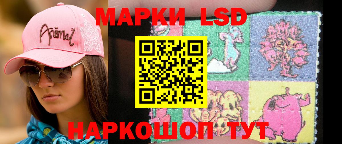 где можно купить   Наркотические марки 1,5мг  Ижевск  Вход с VPN  Наркотические марки 1,5мг  Марки NBOMe 