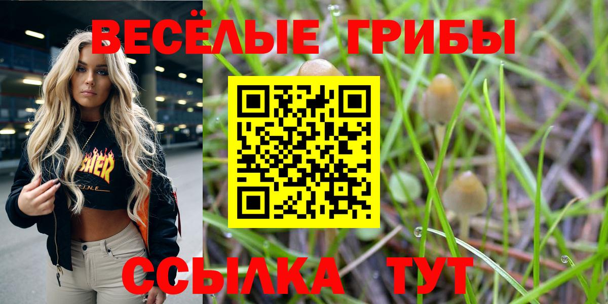 Галлюциногенные грибы ЛСД Ижевск