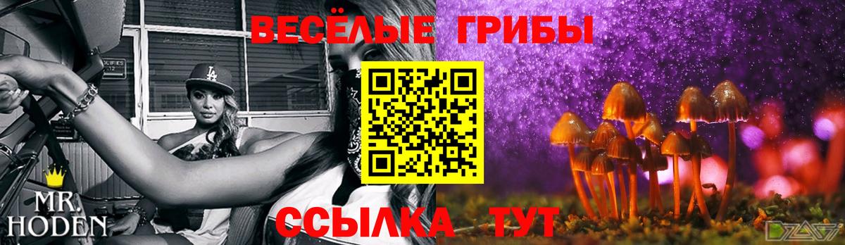 Ижевск  Галлюциногенные грибы MAGIC MUSHROOMS  Галлюциногенные грибы прущие грибы  Вход с VPN 